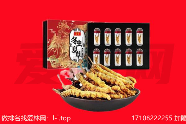 临桂区回收虫草.jpg